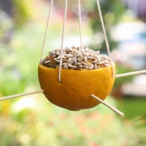 Homemade Bird Food and Bird Feeder