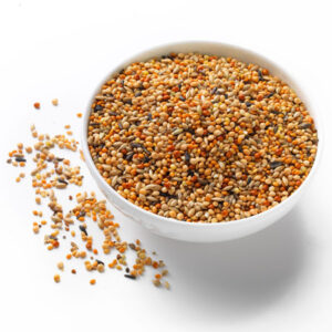 Overview Bird Feed